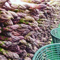 Springtime continued #spring #realtasting #wine