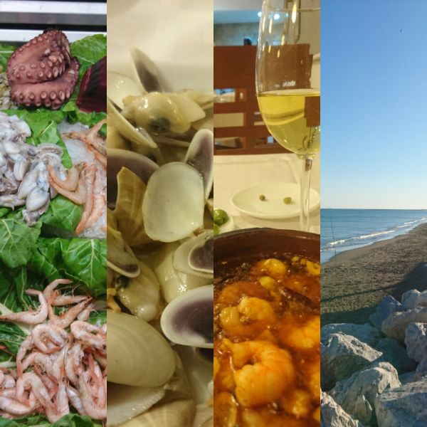 La Odisea Tienda de Vino