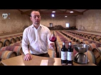 Ch&acirc;teau Moulin de la Rose 2012 
