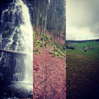 The blackforest is a dream even when it rains