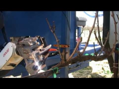 Vision Robotics Corp: Autonomous Grape-Vine Pruner (Phase 1)