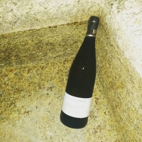 Wine fridge Bern style #bern #swiss #wine #wein