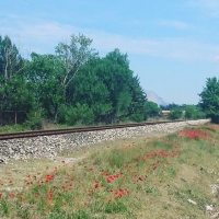 On track #provence #wein #wineoclock #winelover
