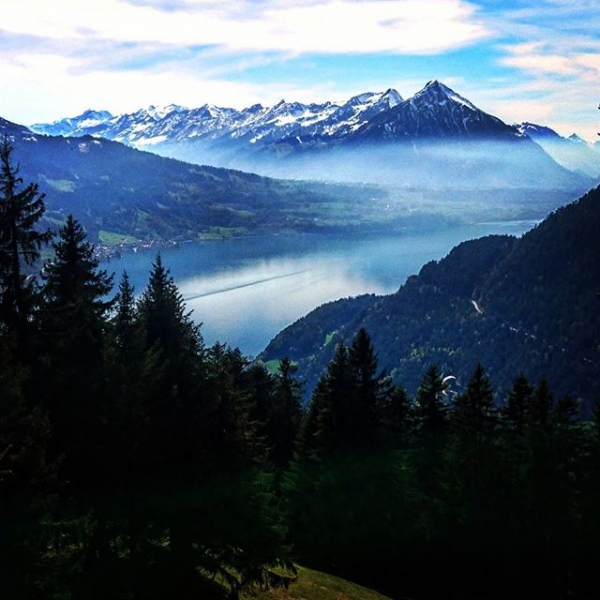 #harderkulm #swiss #wine #wein #wineoclock