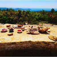 A nice place to enjoy great wines with delicious