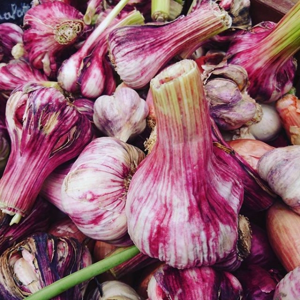 Can the real garlic please get up.... #garlic
