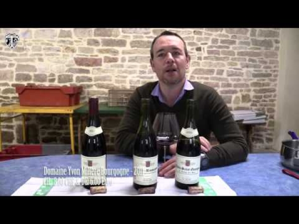 Domaine Yvon Mill&egrave;re - Bourgogn
